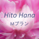 Hito Hana Mプラン